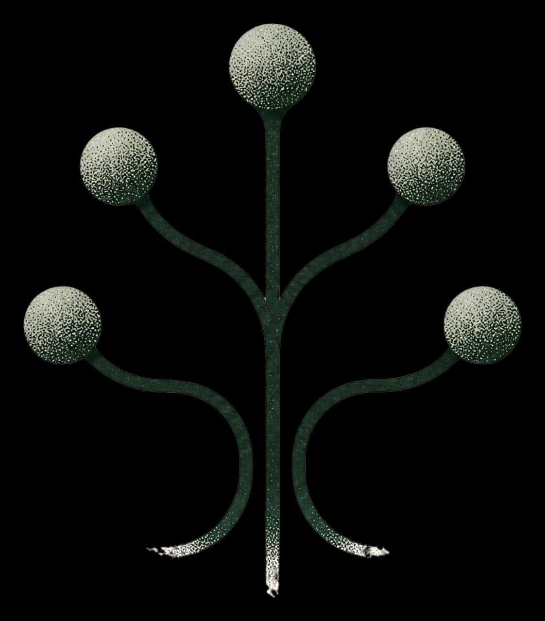 The shrwd mark: a tree with five nodes